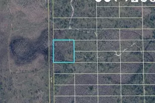 407 Dill Rd, Orlando, FL 32820 - Photo 1