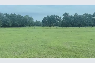 10710 McIntosh Road, Thonotosassa, FL 33592 - Photo 5