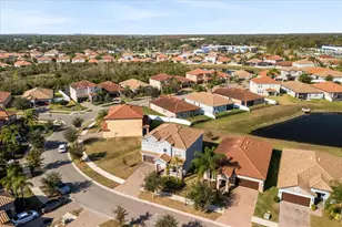 12036 Cardinal Flower Dr, Riverview, FL 33579 - Photo 35
