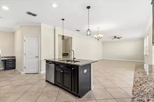 12036 Cardinal Flower Dr, Riverview, FL 33579 - Photo 9