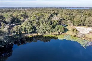 6311 Sadler Rd, Mount Dora, FL 32757 - Photo 1