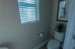 17459 Chateau Pine Way, Clermont, FL 34711 - Photo 33
