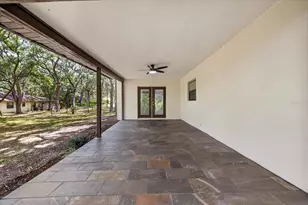 56 Bay Woods Dr, Safety Harbor, FL 34695 - Photo 39
