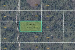 Dill Rd, Orlando, FL 32820 - Photo 1