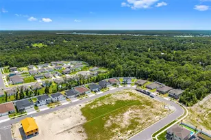 1359 Woodline Dr, Deland, FL 32720 - Photo 57