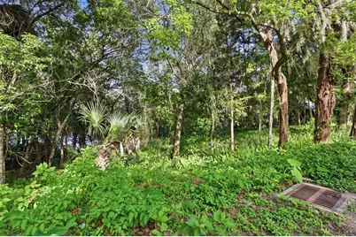 Vista Street, Lake Helen, FL 32744 - Photo 11