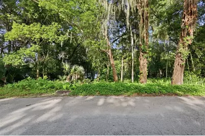 Vista Street, Lake Helen, FL 32744 - Photo 9