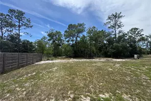 14035 Canyon Swallow Rd, Weeki Wachee, FL 34614 - Photo 11