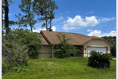 55 Bannerwood Lane, Palm Coast, FL 32137 - Photo 1