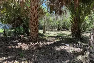 110 Oak St, Flagler Beach, FL 32136 - Photo 1