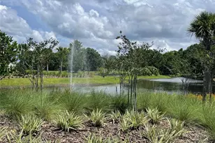 2007 Handsome Hl Ln, Davenport, FL 33837 - Photo 23