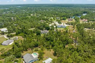 1238 Whirlaway Ln, Oviedo, FL 32766 - Photo 77