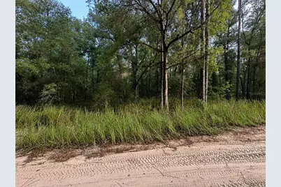 Sw 40th Street, Ocala, FL 34481 - Photo 5