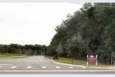 1231 Merion Drive, Mount Dora, FL 32757 - Photo 25
