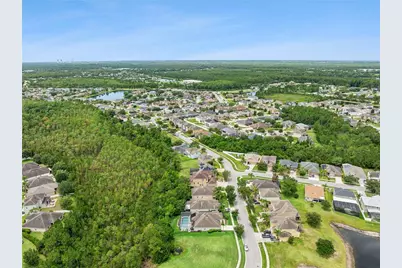 17338 Cypress Preserve Parkway, Orlando, FL 32820 - Photo 45
