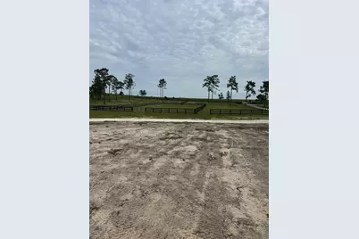 14270 SE 60 Street, Morriston, FL 32668 - Photo 11