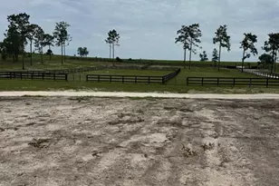 14270 SE 60 St, Morriston, FL 32668 - Photo 11