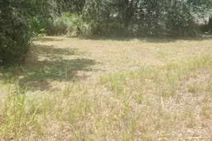 6631 Merle St, Mulberry, FL 33860 - Photo 1