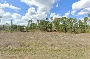 1121 Damen St E, Lehigh Acres, FL 33974 - Photo 1