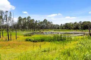 3007 Fayson Cir, Deltona, FL 32738 - Photo 39