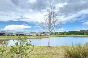 3434 Sagebrush St, Harmony, FL 34773 - Photo 3