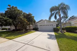 3133 Banyan Hill Ln, Land O Lakes, FL 34639 - Photo 13