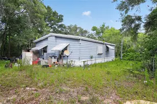 550 NE 154 Ave, Williston, FL 32696 - Photo 29