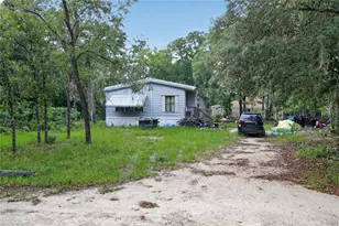550 NE 154 Ave, Williston, FL 32696 - Photo 27