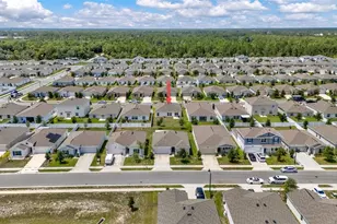 3078 Blue Bonnet Ln, Osteen, FL 32764 - Photo 45