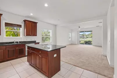 4107 Pine Meadow Drive, Parrish, FL 34219 - Photo 9