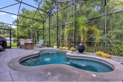 11278 Papyrus Lane, Orlando, FL 32821 - Photo 27