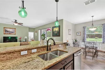 4606 Coppola Drive, Mount Dora, FL 32757 - Photo 15