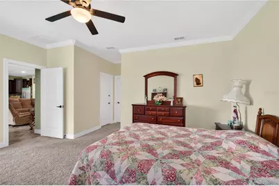 4606 Coppola Drive, Mount Dora, FL 32757 - Photo 19