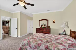 4606 Coppola Dr, Mount Dora, FL 32757 - Photo 19