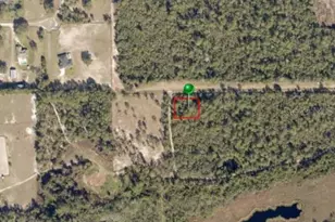 N St, De Leon Springs, FL 32130 - Photo 1