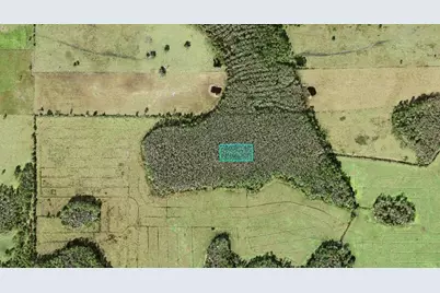 No Street, Polk City, FL 33868 - Photo 3