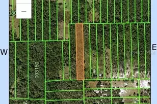 0 Dummonds Rd, Frostproof, FL 33843 - Photo 1