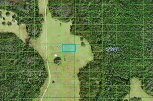 Commonwealth Ave N, Polk City, FL 33868 - Photo 1