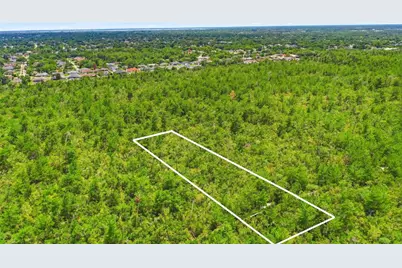 Amelia (Paper) Avenue, Deltona, FL 32725 - Photo 11