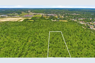 Amelia (Paper) Avenue, Deltona, FL 32725 - Photo 9