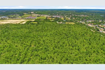 Amelia (Paper) Avenue, Deltona, FL 32725 - Photo 7
