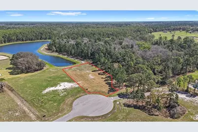 20280 Shoreline Ranch Lane, Umatilla, FL 32784 - Photo 5