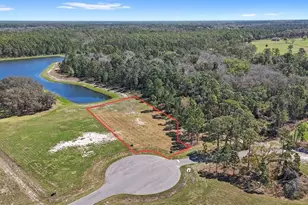 20280 Shoreline Rnch Ln, Umatilla, FL 32784 - Photo 5