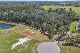 20280 Shoreline Rnch Ln, Umatilla, FL 32784 - Photo 13