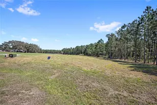20280 Shoreline Rnch Ln, Umatilla, FL 32784 - Photo 7