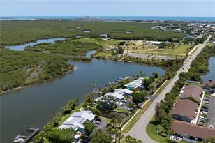 100 Poinciana Cove Ct, New Smyrna Beach, FL 32169 - Photo 21