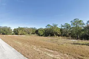 1327 & 1329 Hillsborough Dr, Kissimmee, FL 34759 - Photo 1