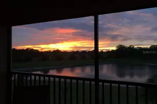 15121 Evergreen Oak Loop, Winter Garden, FL 34787 - Photo 43