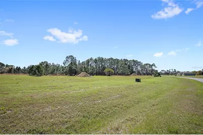 38514 Wooded Meadow Drive, Umatilla, FL 32784 - Photo 5