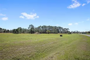 38514 Wooded Mdw Dr, Umatilla, FL 32784 - Photo 5